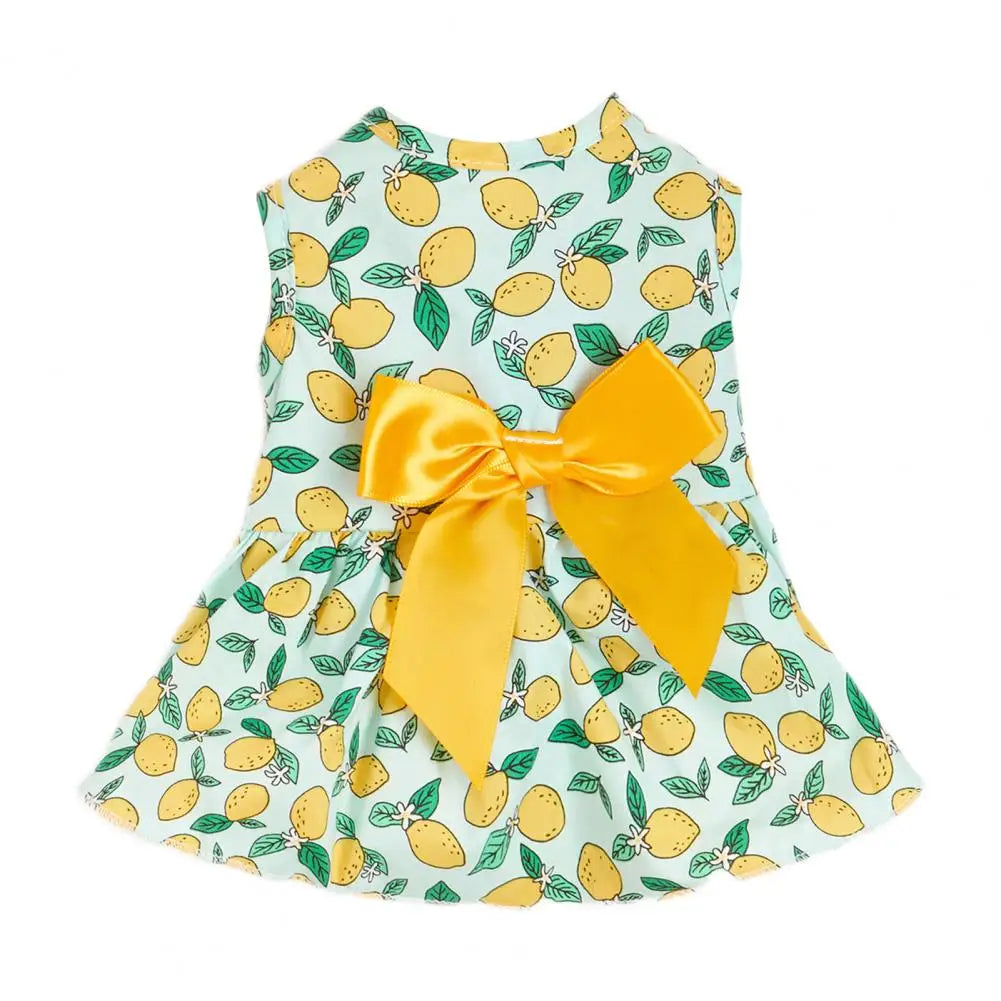 44754344837354|44754344870122|44754344902890|44754344935658|44754344968426