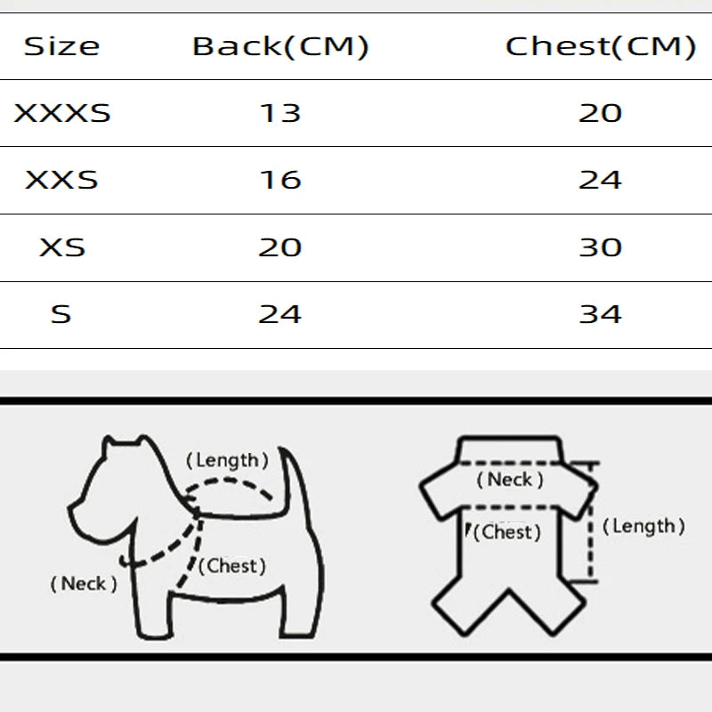 Chic Winter Wrap Dog