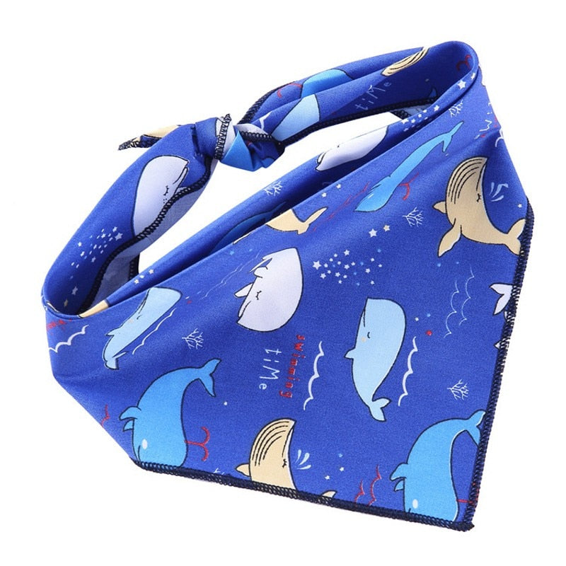 Whale Wonders Bandana