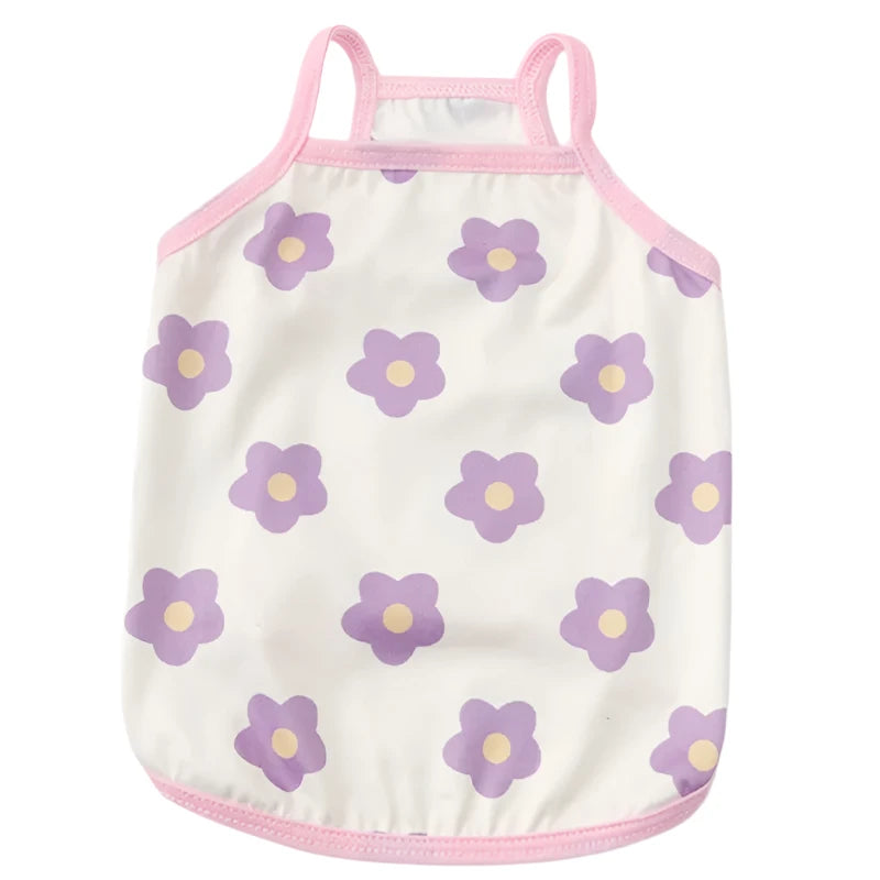 44754359058666|44754359091434|44754359124202|44754359156970