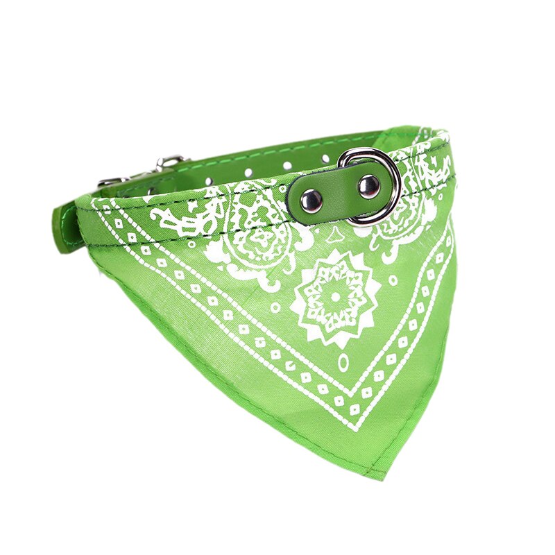 Navy Green Collar Bandana