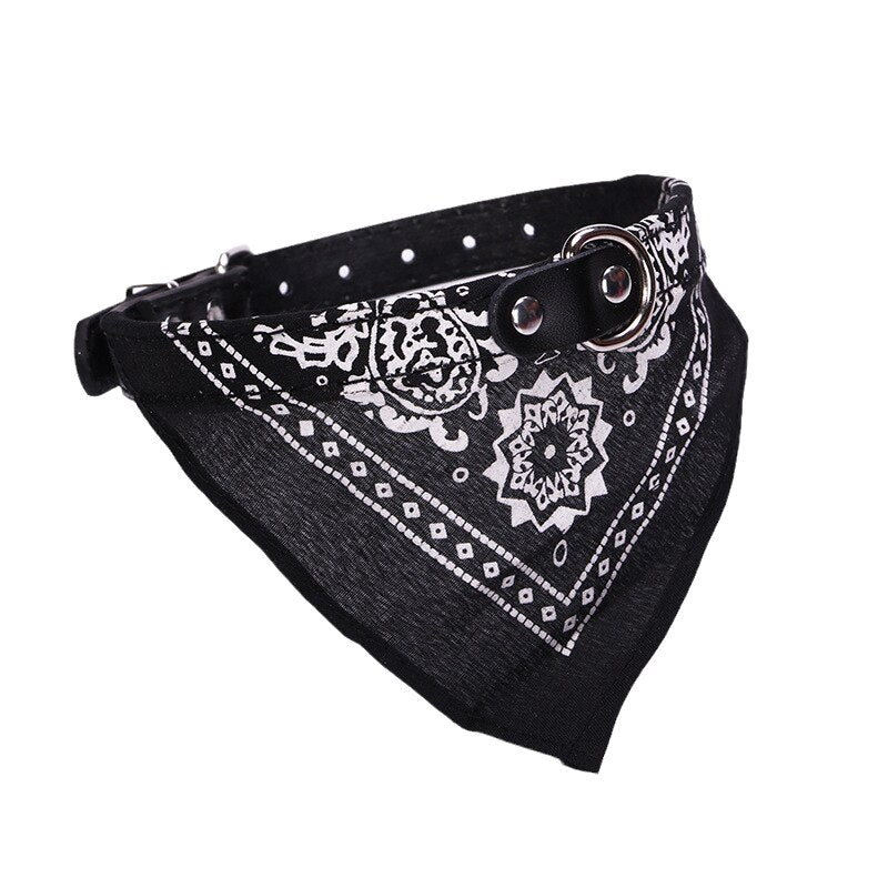 Navy Black Collar Bandana