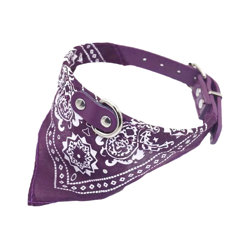 Navy  Purple Collar Bandana