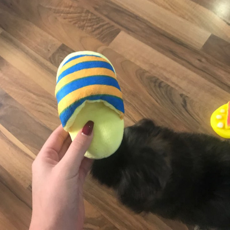 Yellow Blue Stripe Slippers