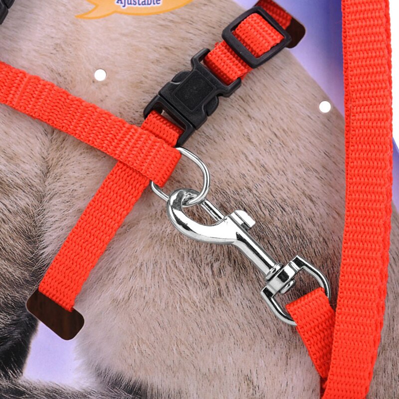 Red Black Harness and Leash